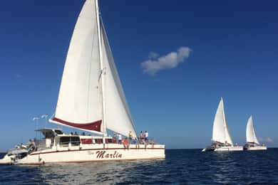 Playas del Coco: Sunset Sailing and Snorkeling Tour