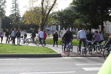 Sevilla: visita de 3 horas a los jardines de María Luisa con almuerzo tipo picnic