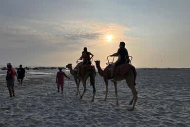 Salalah: Kamelritt am Strand mit Hotel Pick and Drop