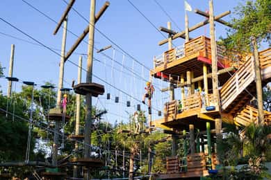 Cocoa Beach: Biljett till Aerial Adventure Park
