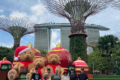 Singapur: Tour privado en coche con conductor/guía local