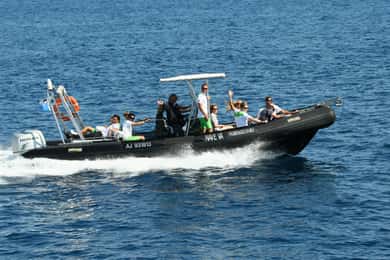 Von Porto aus: Scandola und Calanche de Piana Bootstour