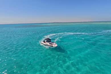Hurghada: Tour in motoscafo della Baia delle Tartarughe con snorkeling