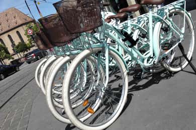 Strasbourg: 1-Day Bike Rental