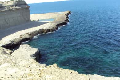 Depuis Puerto Madryn : visite d'une jounée de la péninsule de Valdés