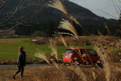 Private tour of Jeju Island, by car, at your own pace