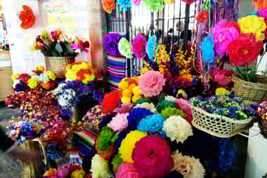 Ciudad de México: Sábado de Bazar, Convento del Carmen y San Ángel