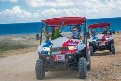 Meet the Animals of Aruba Tour