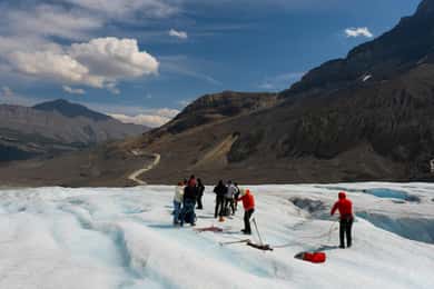 Calgary: Crowfoot, Bow-Peyto Lake, Marble Canyon Day Trip