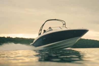 Lago Constanza (¡¡Untersee!!): Tour en barco privado y guiado