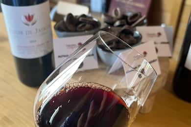 Libourne: Visita à adega com degustação de vinhos e chocolates