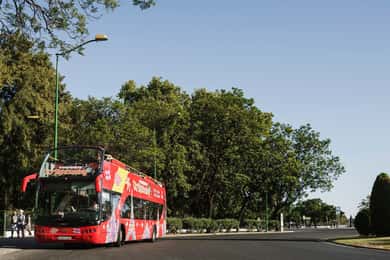 Потсдам: обзорная экскурсия по городу на автобусе Hop-On Hop-Off