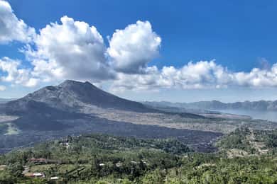 Z Ubud: wycieczka rowerowa zjazdowa z tarasami ryżowymi i posiłkiem
