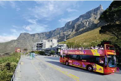 Cidade do Cabo: Tour de ônibus hop-on hop-off com cruzeiro opcional