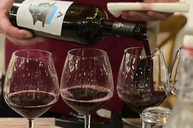 Wine Tasting Experience at Alpeta Winery