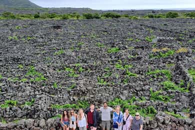 Wein Tour und Verkostung mit einem lokalen Winzer auf Pico Island