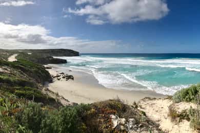 Penneshaw: Shore Excursion Kangaroo Island Scenic Tour