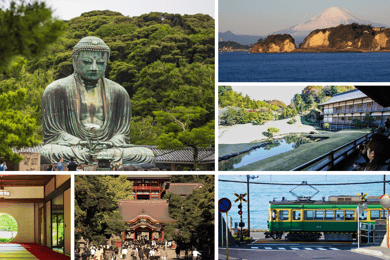 Desde Tokio: Kamakura Tour de día completo con un guía local experto