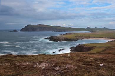 From Cork: Full-Day Guided Tour to Dingle Peninsula
