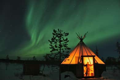 Kiruna - norrsken Norrskenstur med hundsläde och svenskt fika