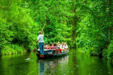 De Berlín a los bosques de cuento de hadas del Spreewald