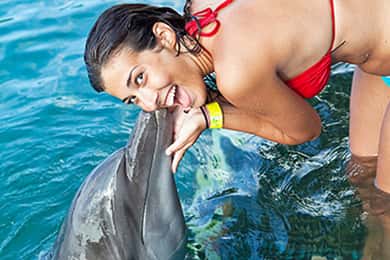 Enseada dos Golfinhos Lucea