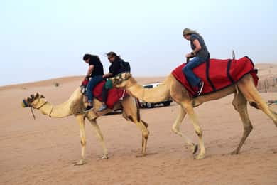 Übernachtung in Dubai Wüstensafari mit BBQ Abendessen