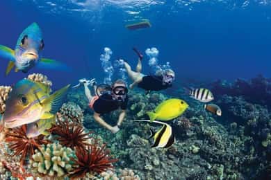 Maui: Deluxe Molokini Snorkel with Breakfast & Lunch