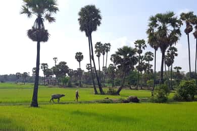 Siem Reap : 6 heures de moto Easy Rider