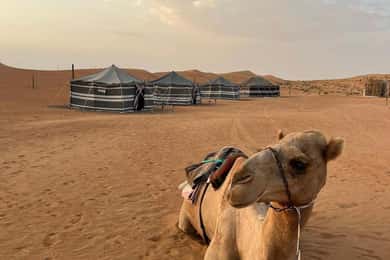 Luxuriöse Wüstensafari mit Übernachtung in Salalah