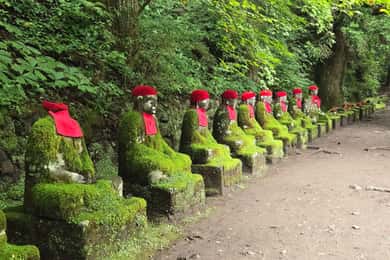 From Tokyo: Nikko Nature Escape & History Private Day Tour