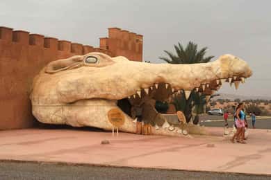 Agadir Crocoparc: Ticket de entrada y traslado