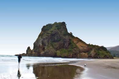 Waitakere Ranges Wilderness Experience Tour from Auckland