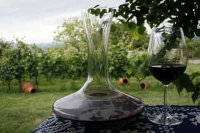 Kahketi: Full-Day Wine Tasting Tour with Lunch