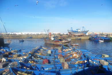 Excursión de un día a Essaouira desde Agadir