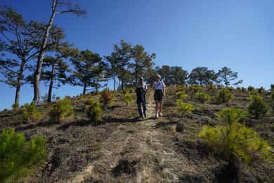 Recorrido por los tesoros agrícolas de Da Lat: café, vino y té