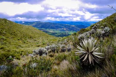 From Bogotá: Chingaza National Park Eco Tour