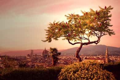 Von Rom aus: Tagestour nach Florenz mit dem Hochgeschwindigkeitszug
