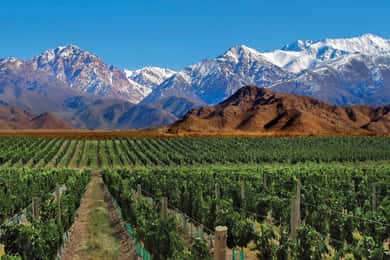 4 - Excursión de un día a Mendoza y Los Andes