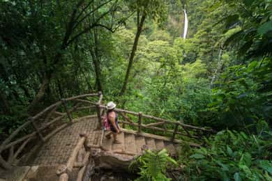 Arenal Hanging Bridges Park + La Fortuna Waterfall and Lunch