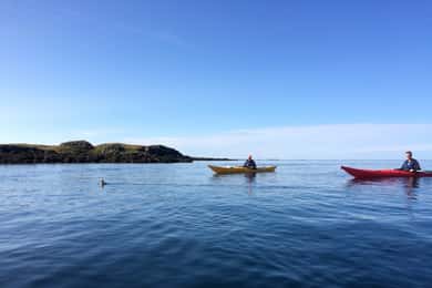 Stykkishólmur: 2-Hour Sea Kayak Tour