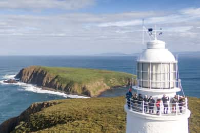 Cape Bruny Lighthouse Tour - Bruny Island