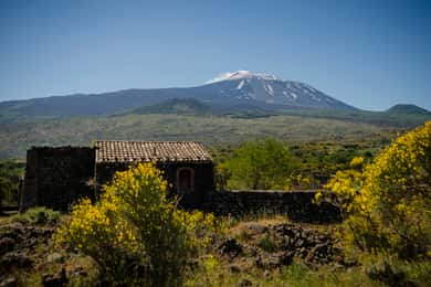 Oud Sicilië en Etna wijnproeverij vanuit Taormina