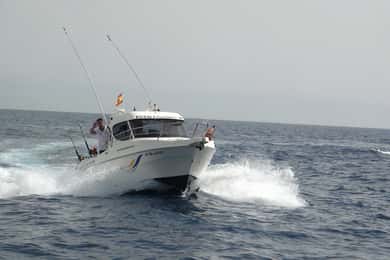 Adeje: 3.5–Hour Professional Fishing Experience