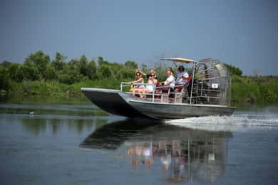 From Lafitte: Swamp Tours South of New Orleans by Airboat