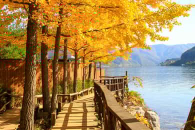 Seoul: Nami Island & Petite France Tour with Railbike Option