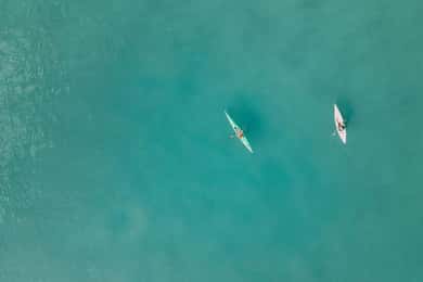 Noosa River: Mangroves and Mansions Guided Kayak Tour