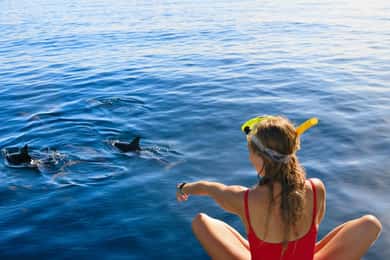 Bali: Lovina Dolphin Watching and Snorkeling Tour