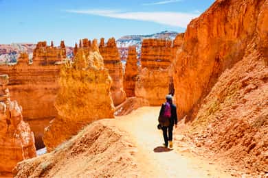 From Las Vegas: Zion and Bryce Canyon Day Trip with Pickup