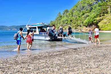 Baía das Ilhas: Cruzeiro guiado de 4,5 horas e excursão de fuga às ilhas